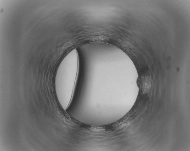 X0000090450619200707130930