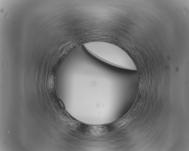 X0000090450623200707130930