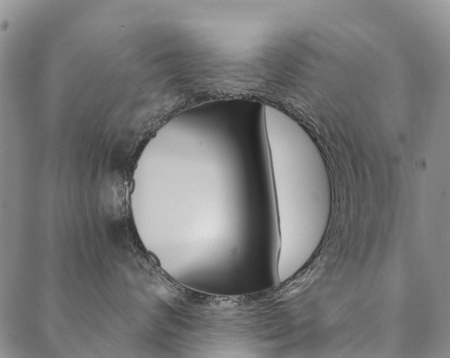 X0000090450624200707130930