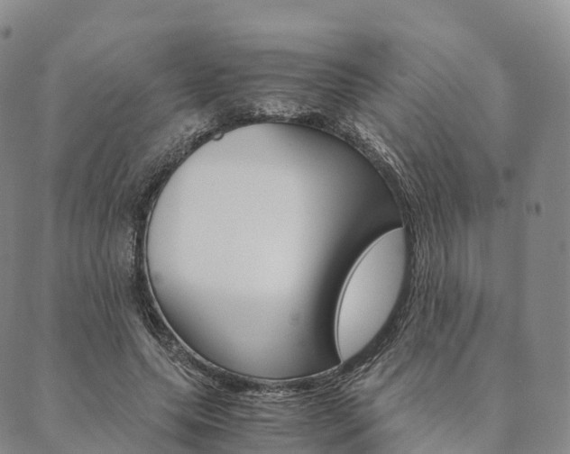 X0000090450639200707130930