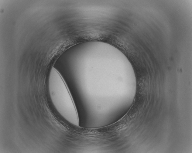 X0000090450642200707130930