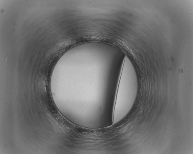 X0000090450643200707130930