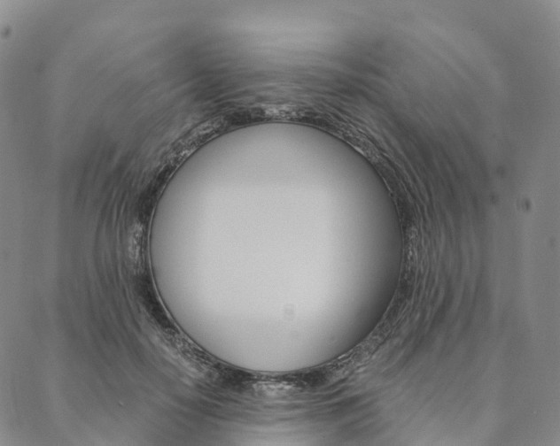 X0000090450650200707130930