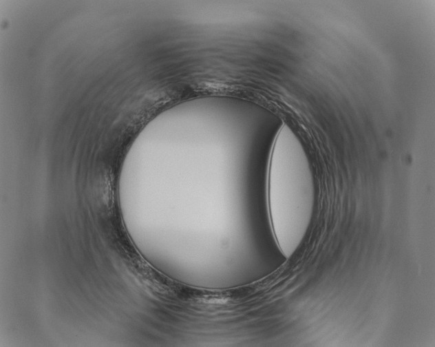 X0000090450651200707130930