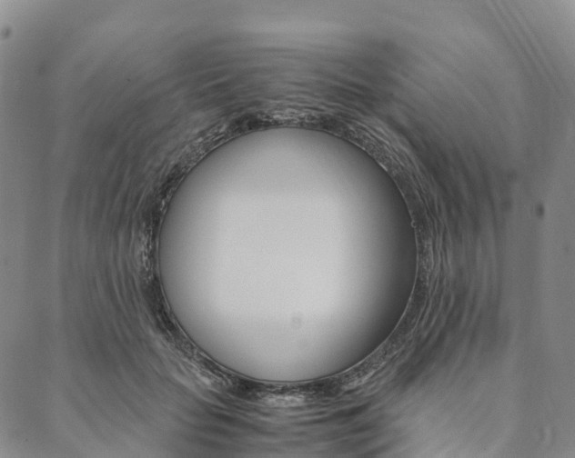 X0000090450653200707130930