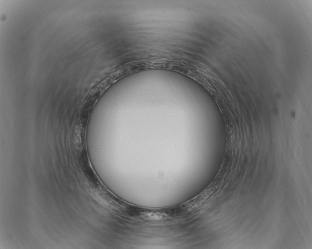 X0000090450654200707130930