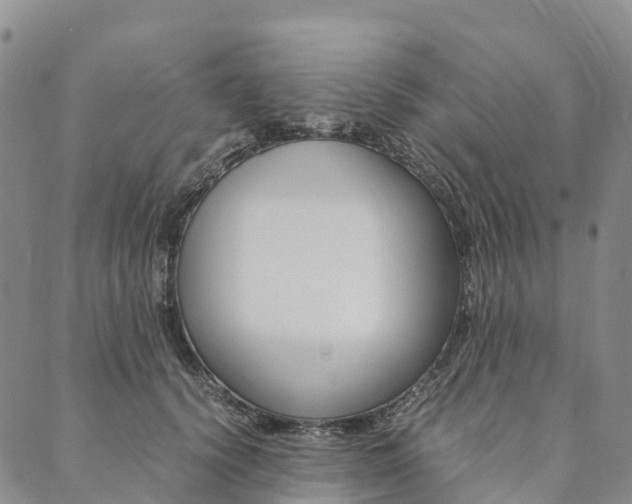 X0000090450656200707130930