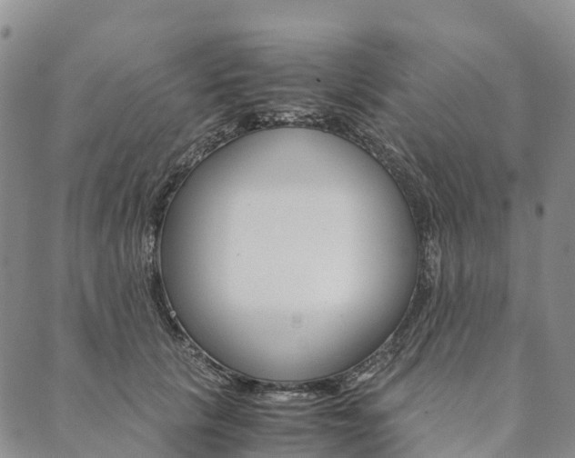 X0000090450657200707130930