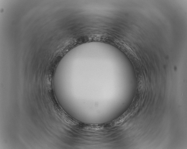 X0000090450661200707130930