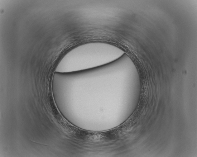 X0000090450695200707130929