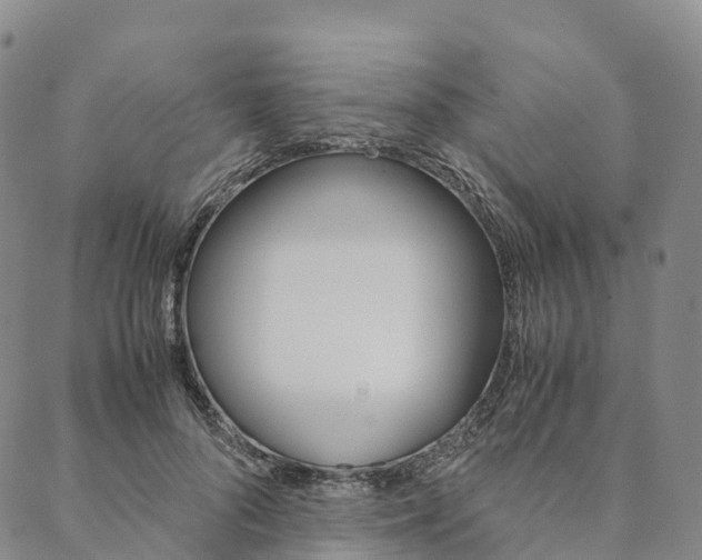 X0000090450696200707130929