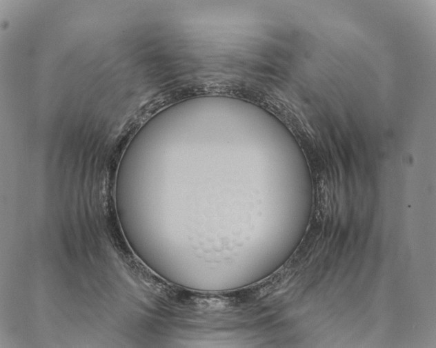 X0000090450698200707130929