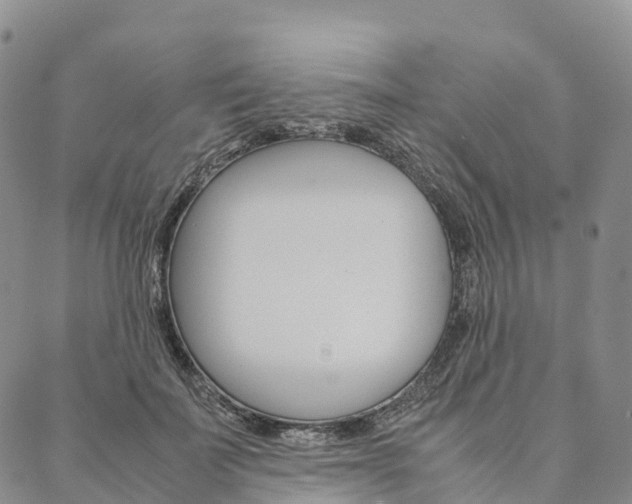 X0000090450699200707130929