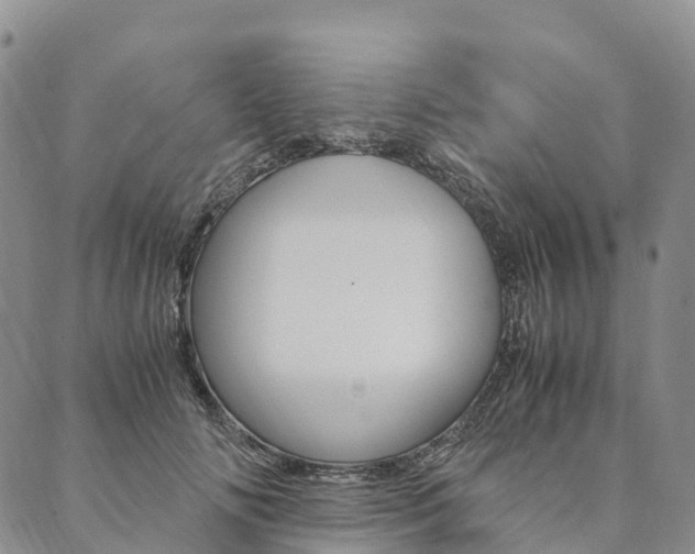 X0000090450702200707130929