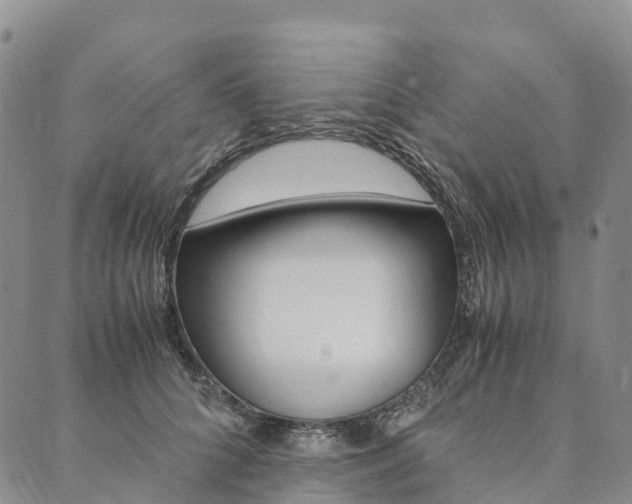 X0000090450704200707130929