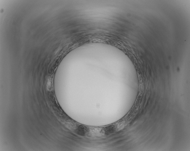 X0000090450709200707130929