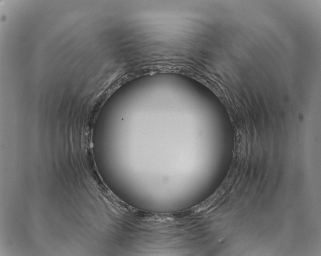 X0000090450712200707130929