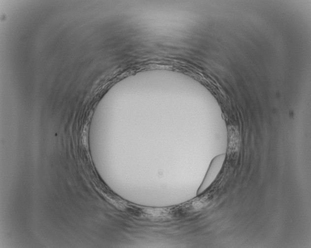 X0000090450713200707130929