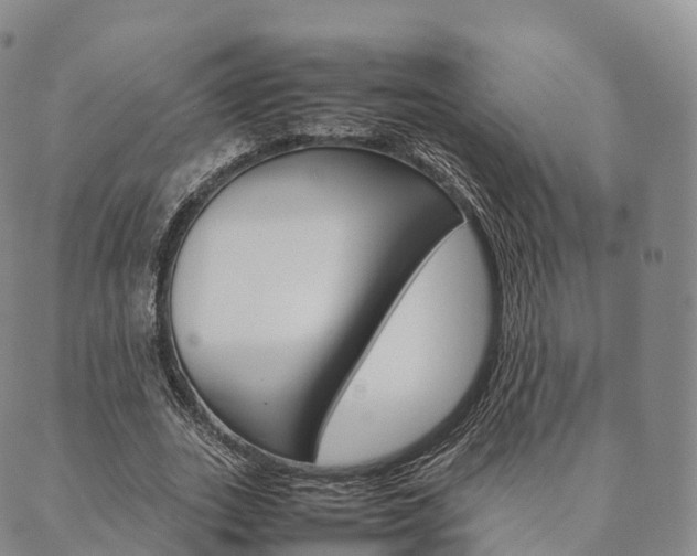X0000090450727200707130928
