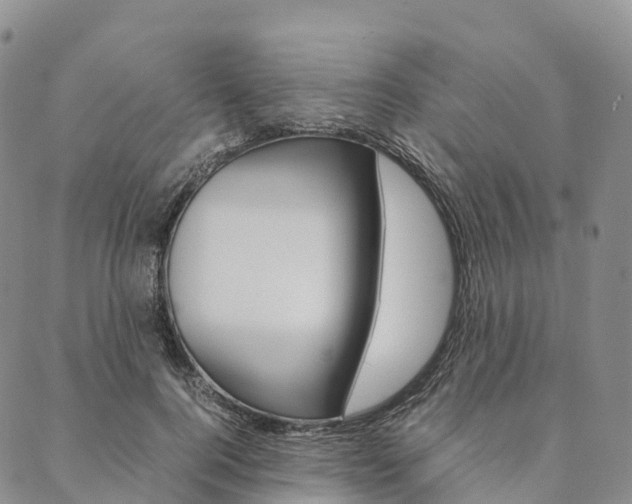 X0000090450744200707130928