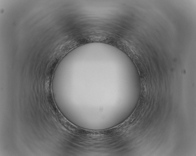 X0000090450745200707130928