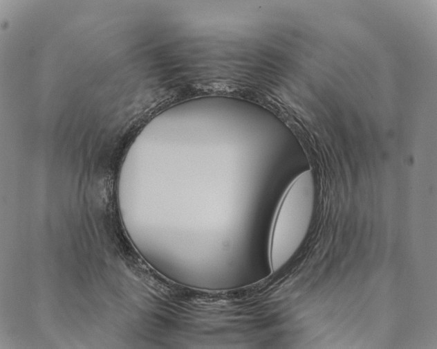 X0000090450747200707130928