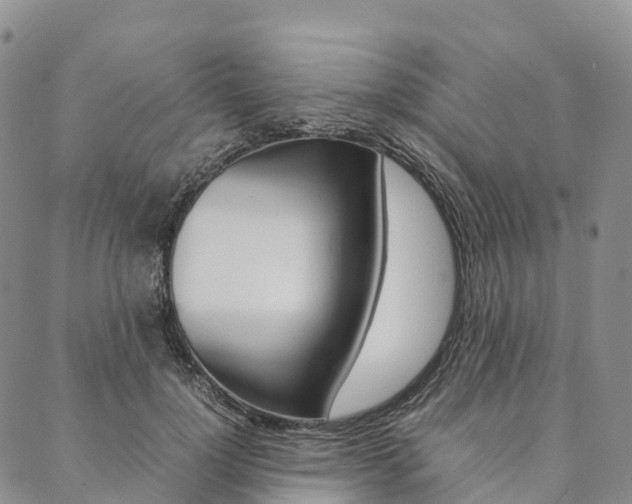 X0000090450748200707130928