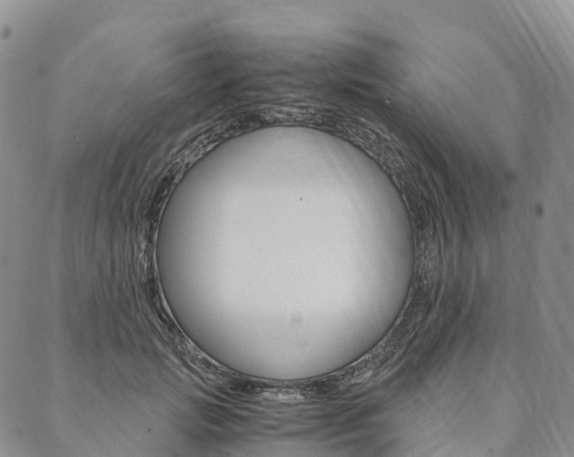 X0000090450749200707130928