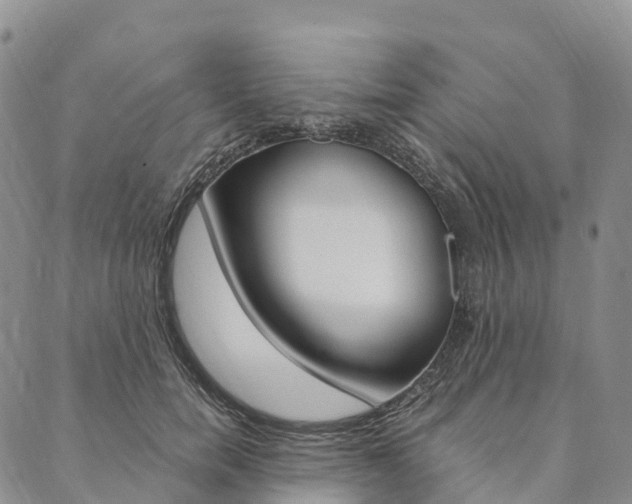 X0000090450750200707130928