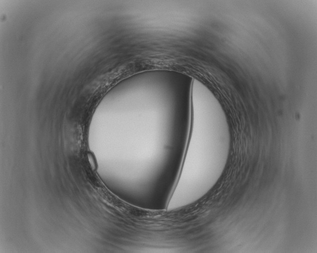 X0000090450752200707130928