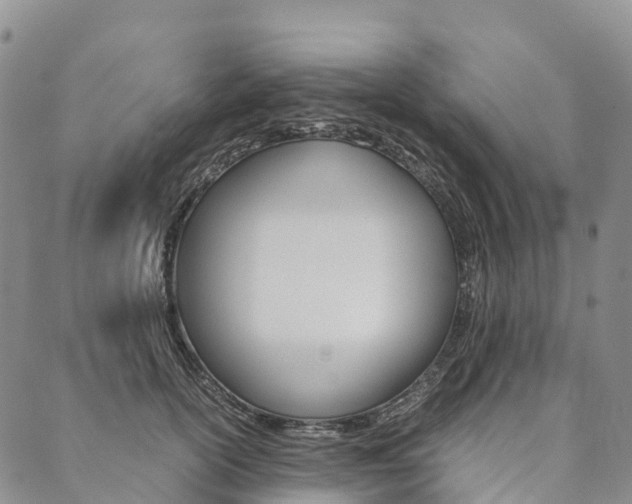 X0000090450754200707130928