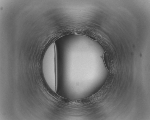 X0000090450756200707130928