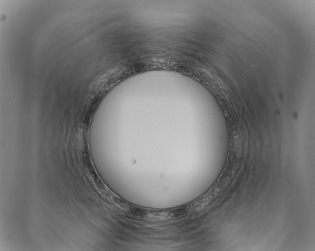 X0000090450757200707130928
