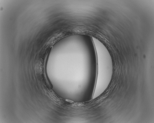 X0000090450762200707130928