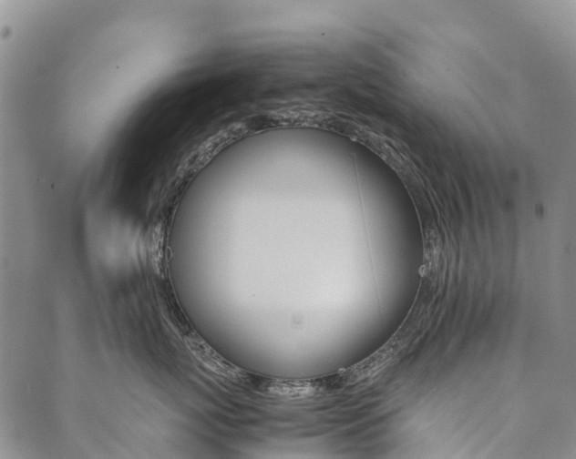 X0000090450767200707130928