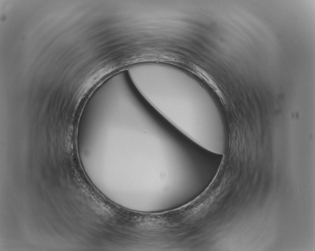 X0000090450786200707130927