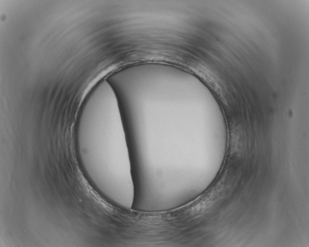 X0000090450798200707130927