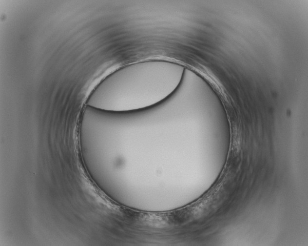 X0000090450806200707130927
