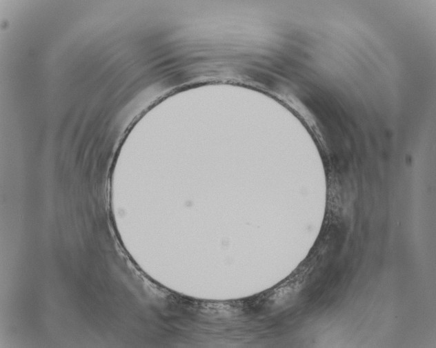X0000090450807200707130927