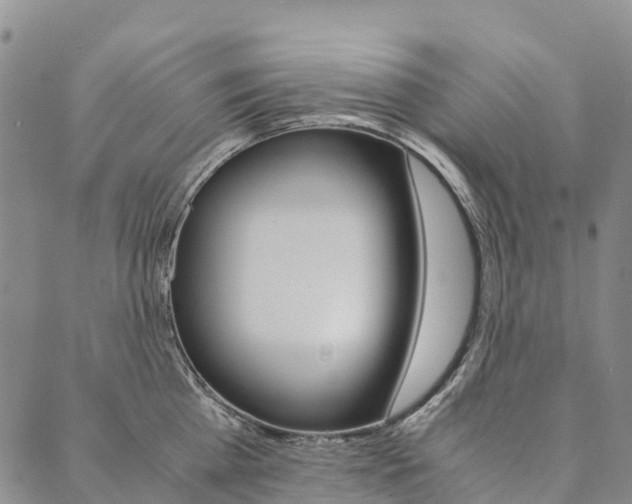 X0000090450809200707130927