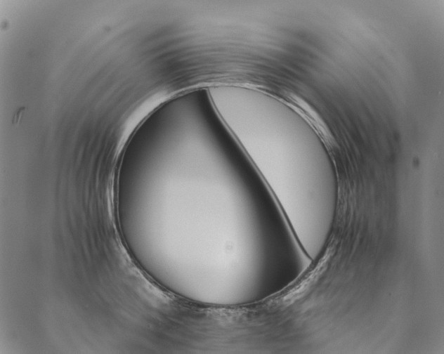 X0000090450812200707130927