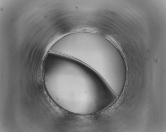 X0000090450816200707130927