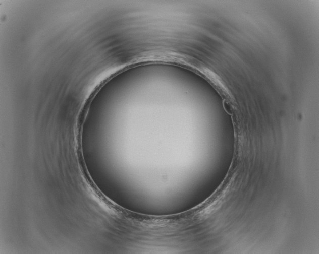 X0000090450846200707130927