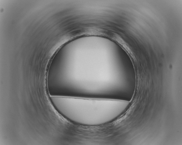 X0000090450853200707130927