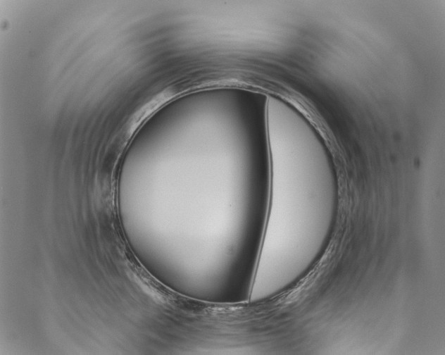 X0000090450858200707130927
