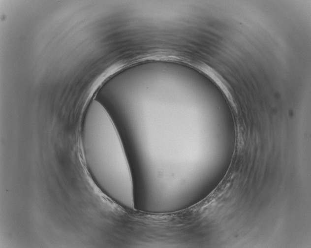 X0000090450861200707130927