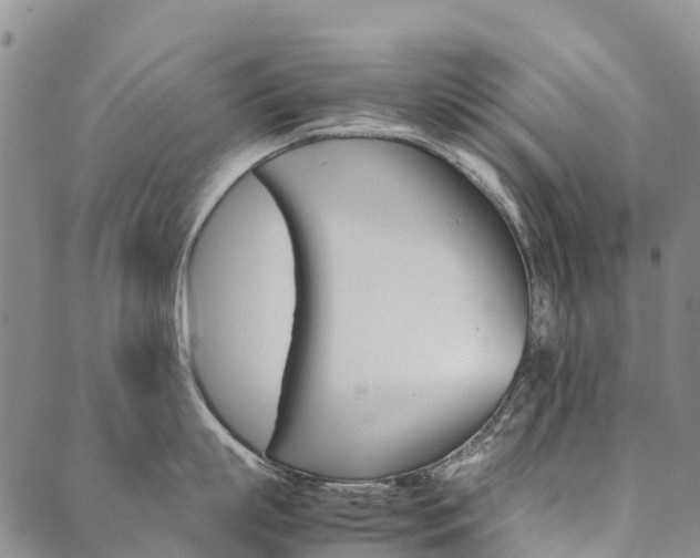 X0000090450863200707130927