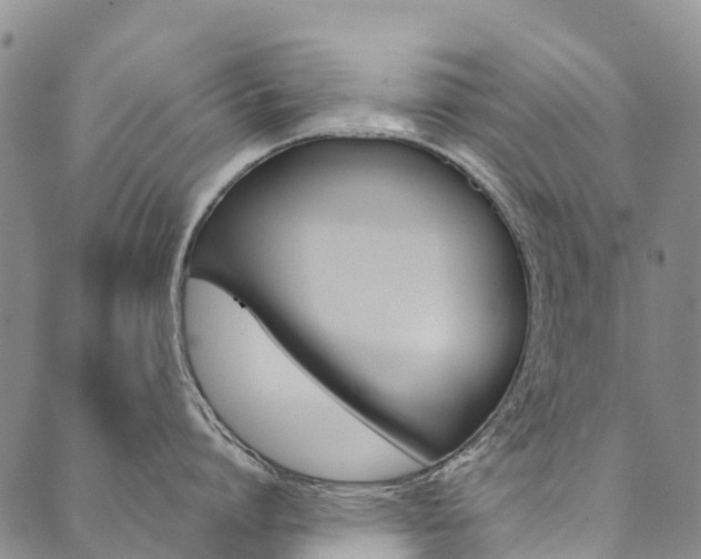 X0000090450864200707130927