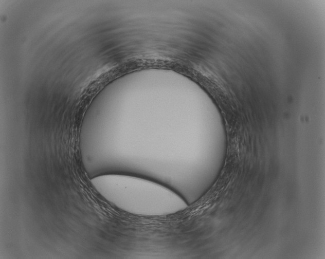 X0000090450870200707130926