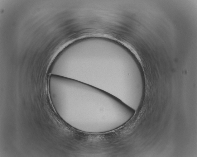 X0000090450887200707130926